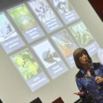 Conectar invasión biológica y pandemias, clave para combatir ambas amenazas