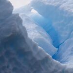 El colapso en la Antártica puede provocar un impacto biológico en la zona