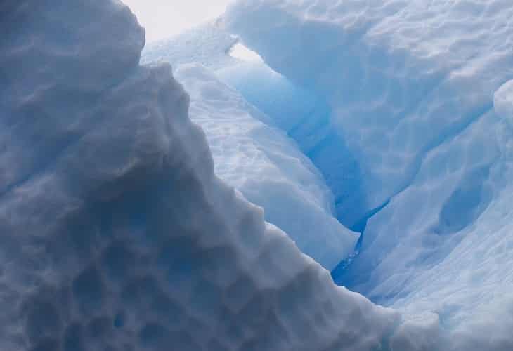 El colapso en la Antártica puede provocar un impacto biológico en la zona