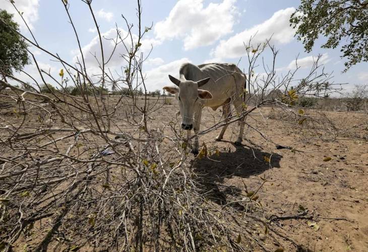 La ONU alerta de una degradación crónica del suelo terrestre