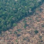 La devastación de las reservas indígenas por la minería crece 205 % con Bolsonaro
