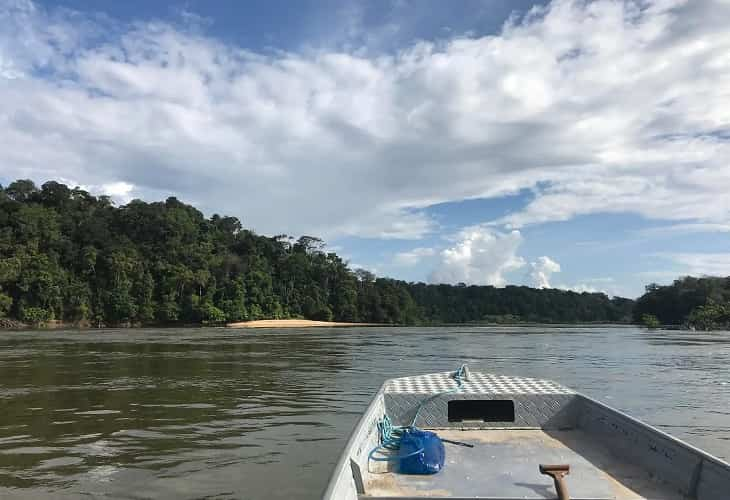 Peru - La dinámica de los ríos, detrás de la rica diversidad de aves de la Amazonía