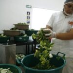 Las microempresas colombianas se recuperan y generan en promedio 2,7 empleos