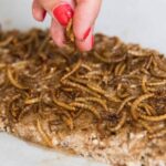 Los nuevos alimentos reducen el impacto medioambiental en un 80 %