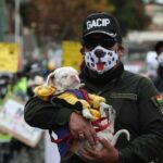 Marcha de perros y humanos alza la voz contra el maltrato animal en Bolivia