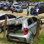 Palma de cera cayó sobre carro parqueado en Salento, este 15