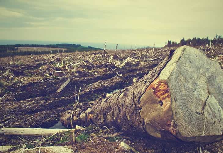 ONU informe crisis climática
