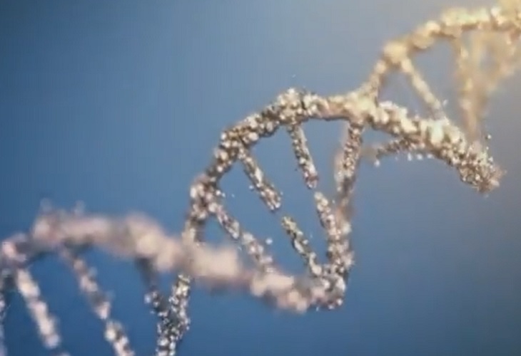 Científicos decodifican la primera secuencia completa de un genoma humano
