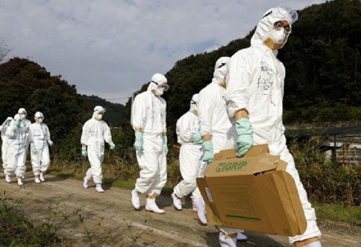 China confirma primer caso de gripe aviar con cepa H3N8 en humanos
