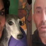 Conductor de un auto mata al perro de Vanessa de la Torre y huye del lugar