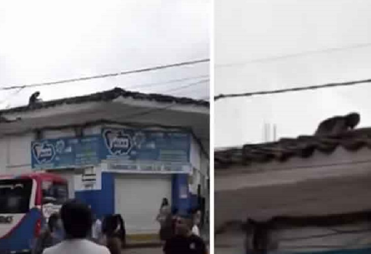 Video de la supuesta bruja que captaron en techo de Santander de Quilichao