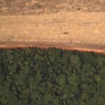 Alertas de deforestación en Amazonía brasileña rompen nuevo récord en abril