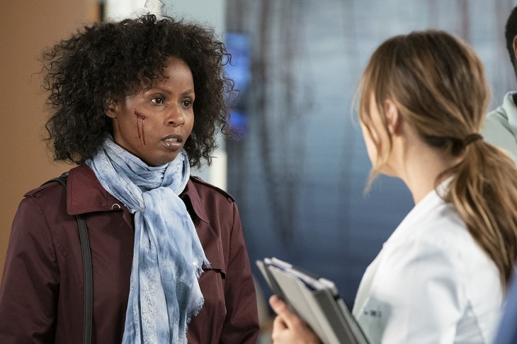 Elisabeth Finch, la guionista de Grey’s Anatomy que fingió su propio cáncer