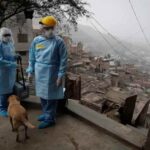 Es falso que _900.000 peruanos_ padecen hepatitis por la vacuna anticovid