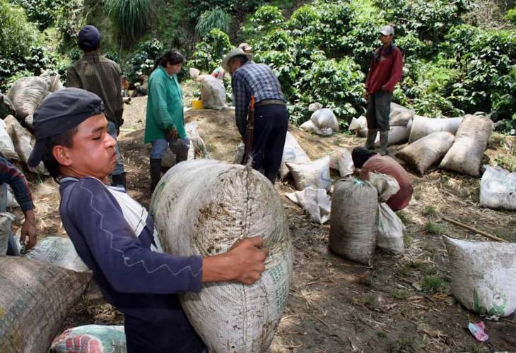 La producción de café de Colombia cae un 7 % en abril