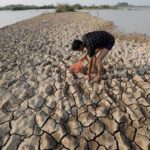 Líderes políticos piden medidas rápidas contra el deterioro mundial del suelo (1)