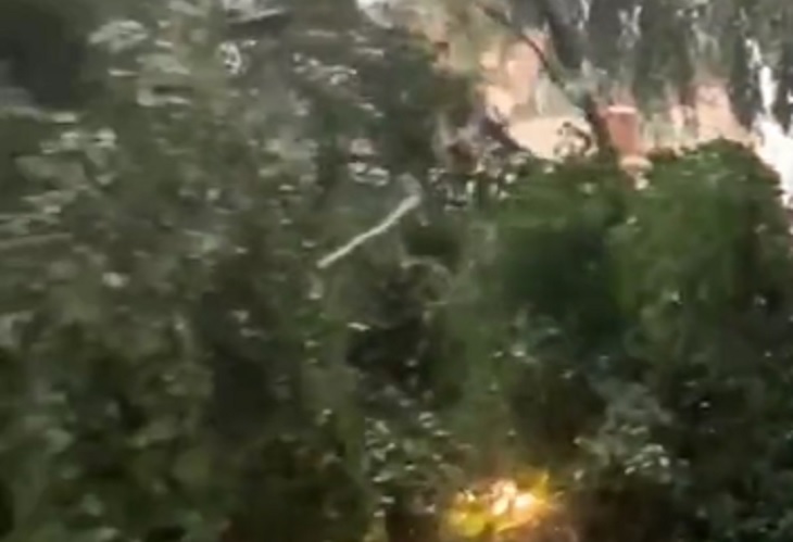 Árbol cayó sobre varios carros por las Torres de Bomboná, tras lluvias del sábado