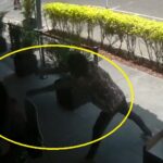 Detenido el hombre que atacó a un menor en taquería de la colonia Roma