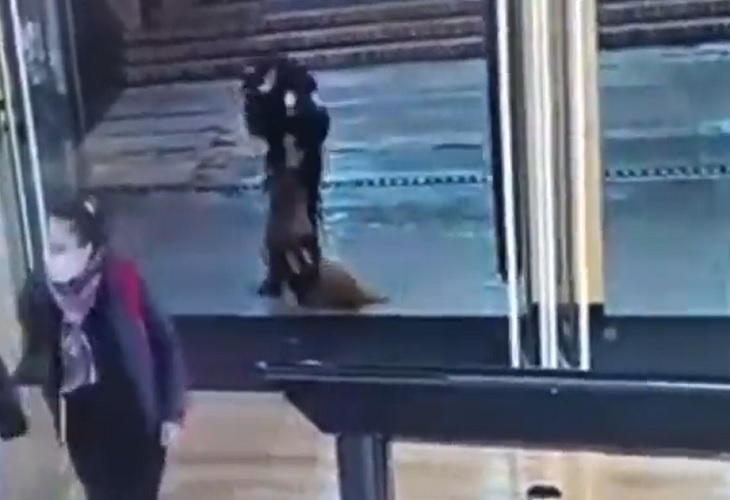 En brutal acción, vigilante castiga a perro en el centro comercial Andino