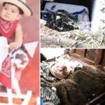 Niño murió al caerle encima unas rocas, mientras dormía en su casa en DonMatías