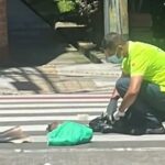 Encuentran cuerpo de un perro despellejado en una vía de Envigado