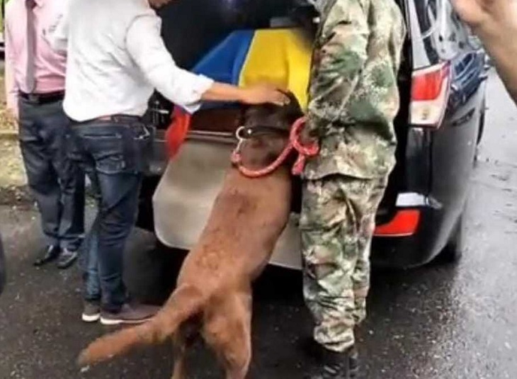 Cuerpo de soldado colombiano fue acompañado durante dos días por su perro 