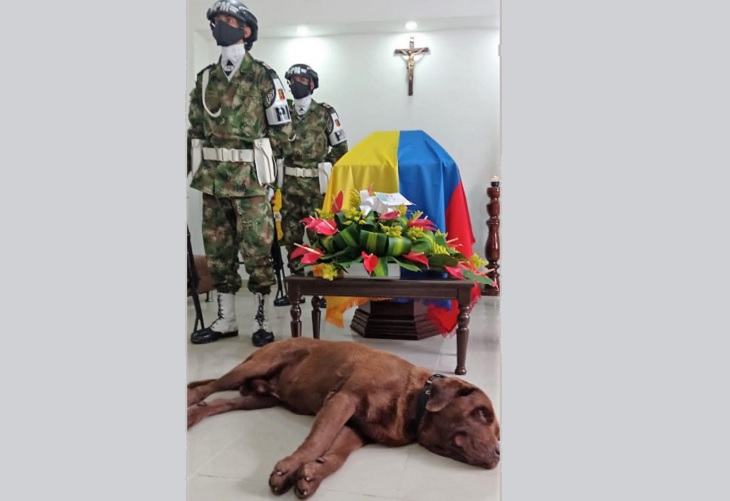 Cuerpo de soldado colombiano fue acompañado durante dos días por su perro