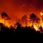 2.000 hectáreas quemadas ya en un fuego que sigue avanzando al sur de España