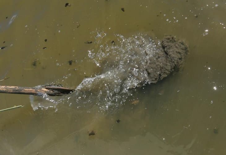 Identifican más de un centenar de fuentes contaminantes del lago Titicaca