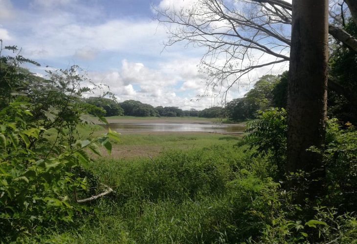 Planeta Rica enfrenta jornadas de sequía, Aqualia dice que trabaja en el problema