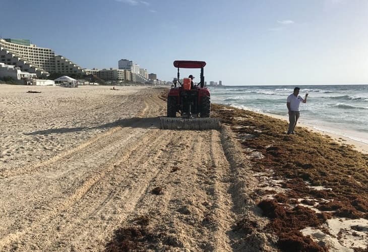 Sargazo en Caribe mexicano es muy diferente a otros años, dicen autoridades