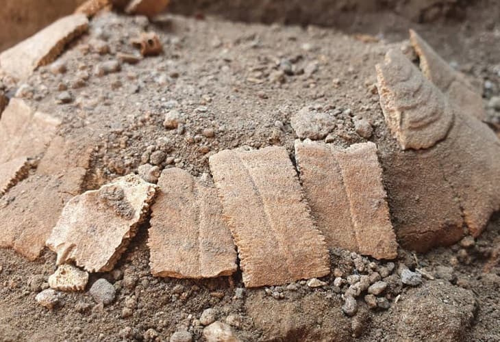 Una nueva sorpresa en las excavaciones de Pompeya - una tortuga con su huevo