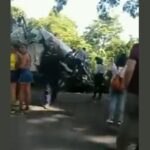 Tractomula y camión chocaron en la vía que de Buenavista conduce a La Apartada