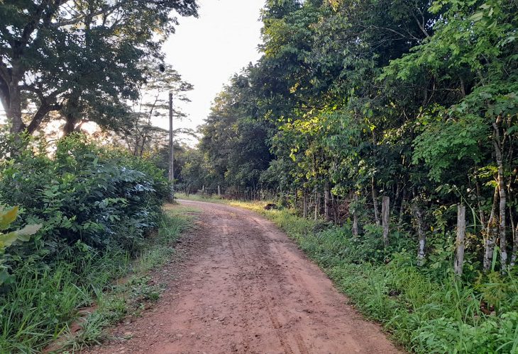 Atentan contra el diputado York Cortés cuando salía de su finca en Aguazul