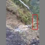 3 muertos en camión que rodó por el Trampolín de la muerte, en vía Pasto-Mocoa