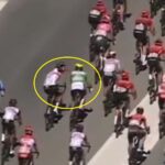 Sebastián Molano fue expulsado del Dauphiné por pegarle a un ciclista francés