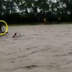 Ciudadano salva a camionero que cayó a las aguas del río Ocoa en Villavicencio