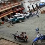 Concordia: Toyota sin control en el parque el 11 de junio