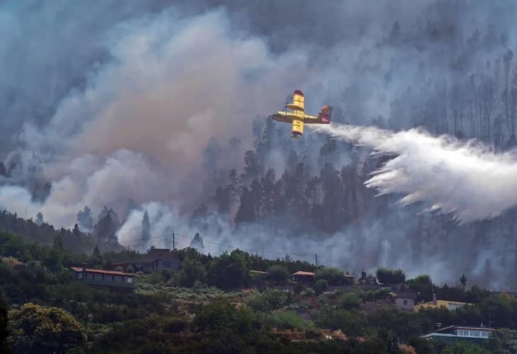 Activos numerosos incendios forestales en España