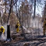 Avanza la contención del incendio cercano al parque Yosemite