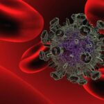 Científicos comprueban que la combinación de vacunas es clave frente al sida