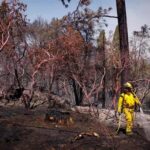 Controlan en un 39 % el incendio cerca de Yosemite en California