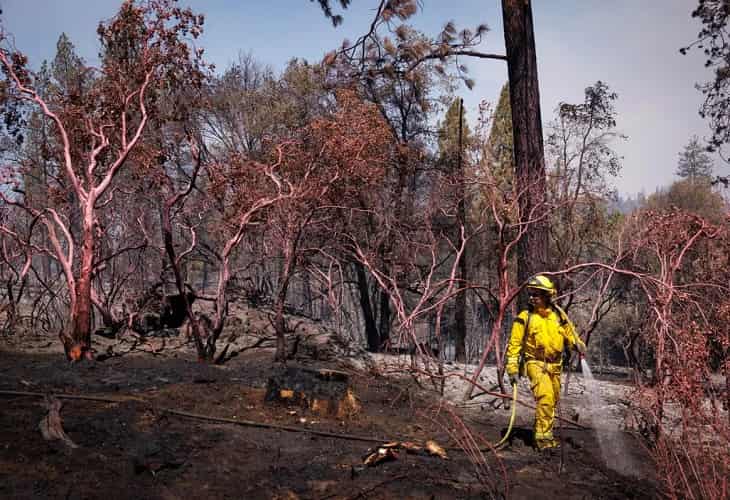 Controlan en un 39 % el incendio cerca de Yosemite en California