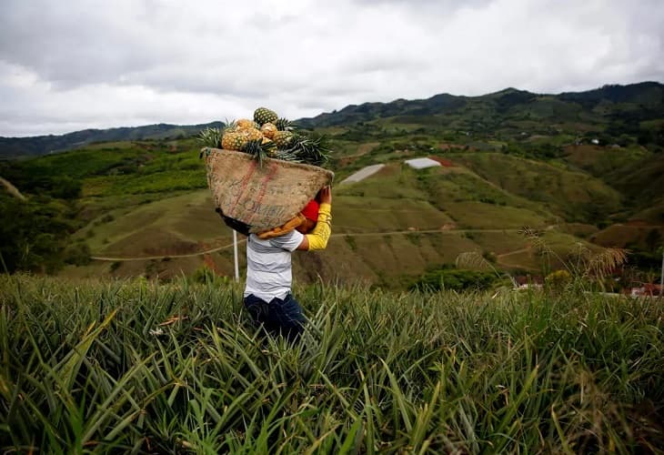 Ecorestaurante colombiano impulsa con su propuesta a productores orgánicos