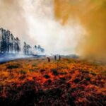 El calor deja más de 300 muertos en el sur de Europa y amenaza ya al norte