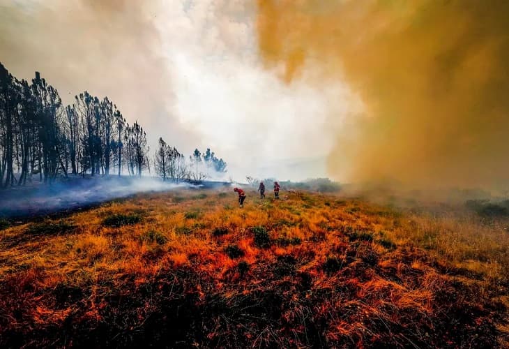 El calor deja más de 300 muertos en el sur de Europa y amenaza ya al norte