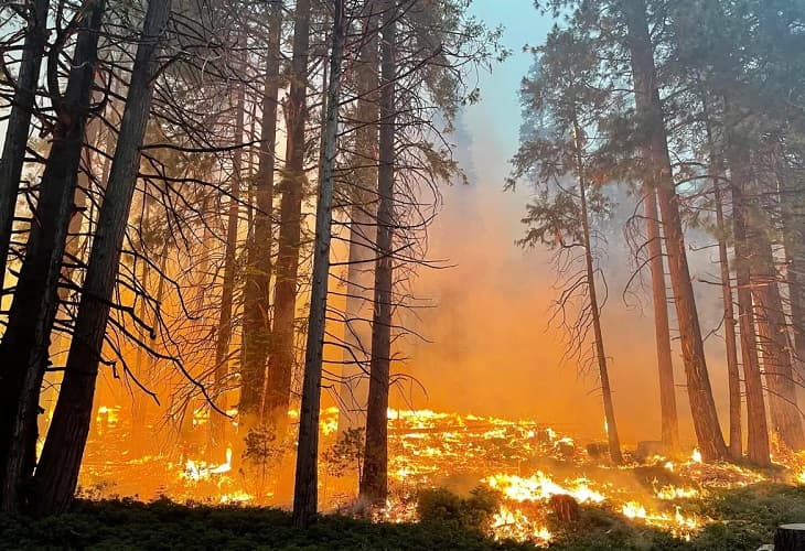 El incendio que amenaza el parque de Yosemite tuvo un origen humano
