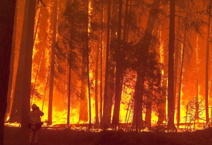 El incendio que amenaza las secuoyas de Yosemite (EE.UU.), contenido en un 25%