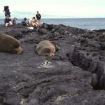 Galápagos recibe en la primera mitad de 2022 casi tantos turistas como en todo 2021
