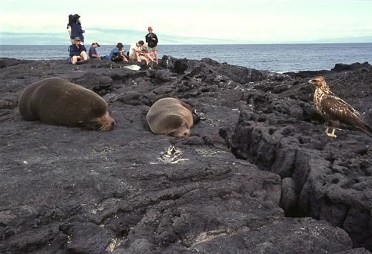 Galápagos recibe en la primera mitad de 2022 casi tantos turistas como en todo 2021
